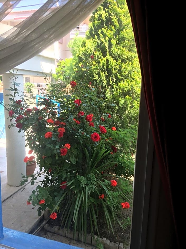 Marigold Otel