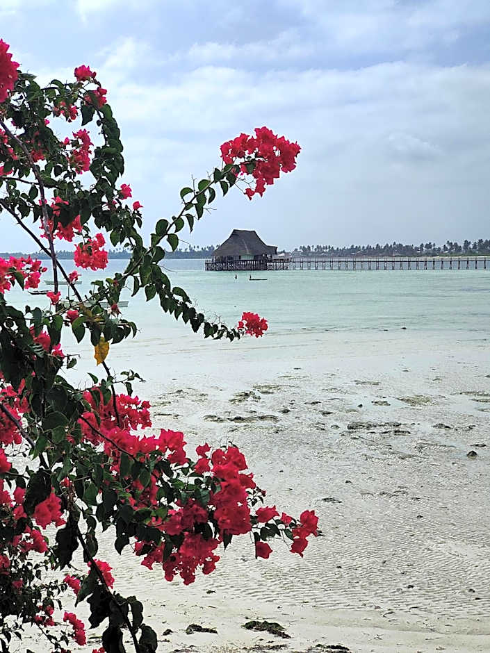 Malcom Ocean View Retreat