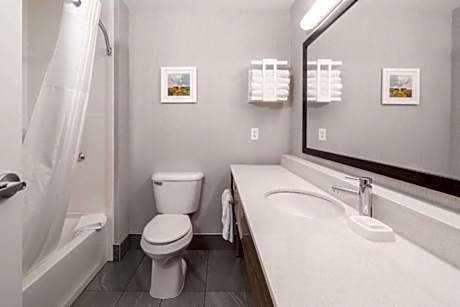 1 King Bed Shower Only Nonsmoking