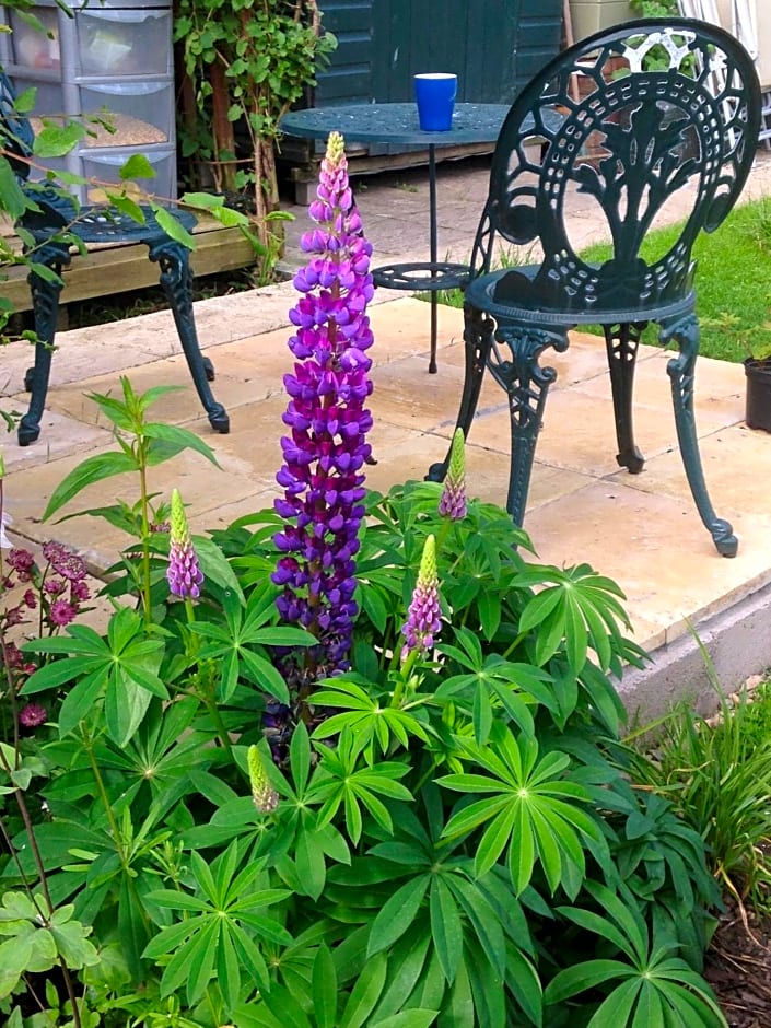 Rebels Hide -Self check in rooms