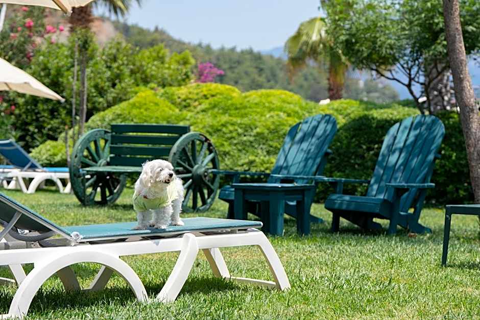 Marti La Perla - Adult Only+16