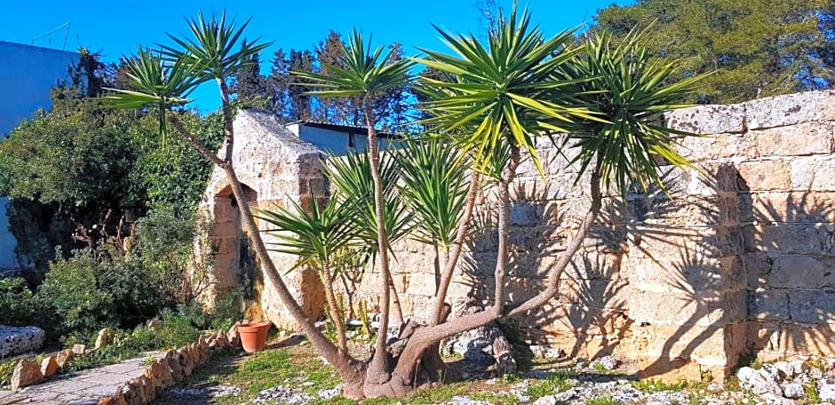 Masseria Artemisia