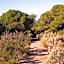 Albufera Dreams Nature Suites