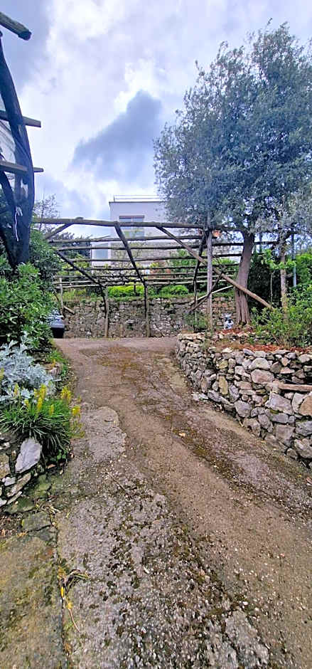 B&b 1787 in Montechiaro