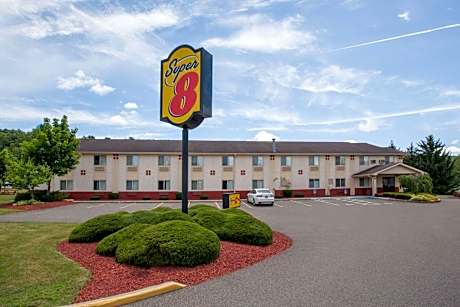 Super 8 by Wyndham Sidney NY