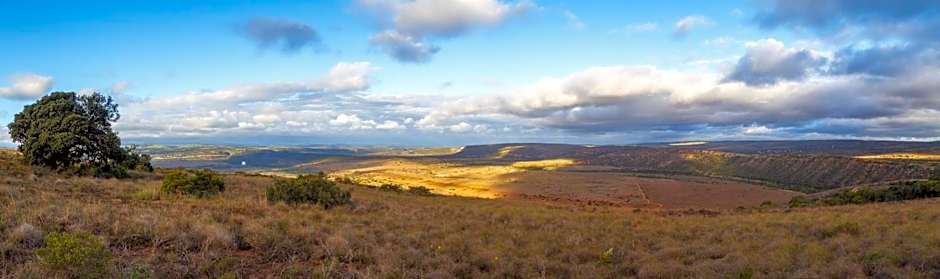 Hlosi Game Lodge - Amakhala Game Reserve