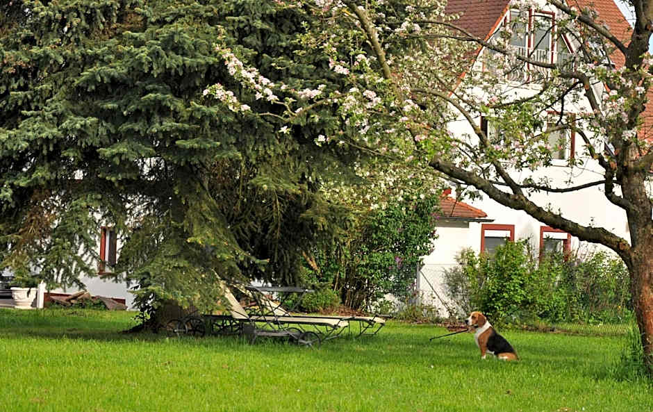 Häuser der Villa Italia