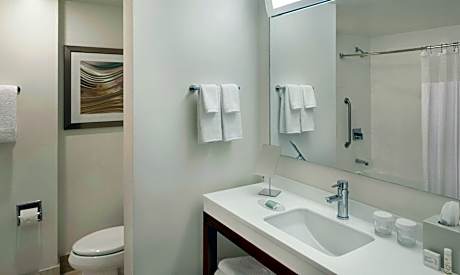 Suite, 1 Bedroom (1 King Bed and 1 Double Sofa Bed)