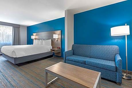 King Suite with Bath Tub and Sofa Bed - Disability Access/Non-Smoking