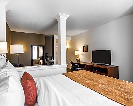 1 King Bed, Suite, Nonsmoking