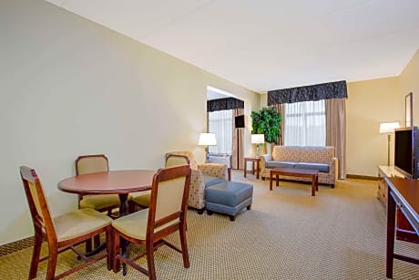 1 King Bed Studio Suite Non-Smoking