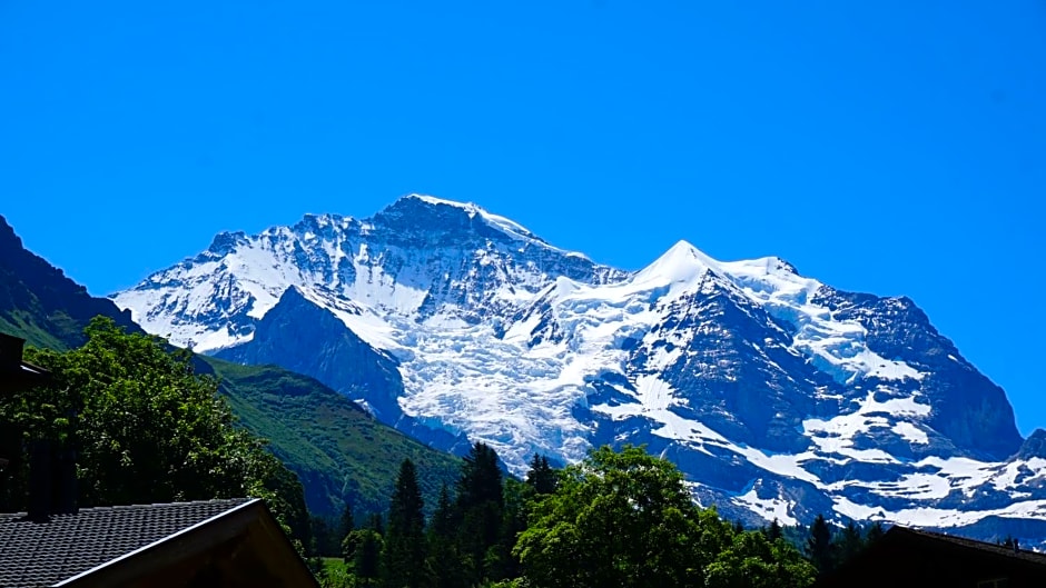 Alpenkräuter Hotel Bären