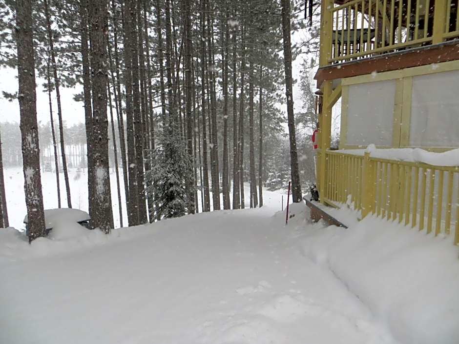 La maison sous les arbres