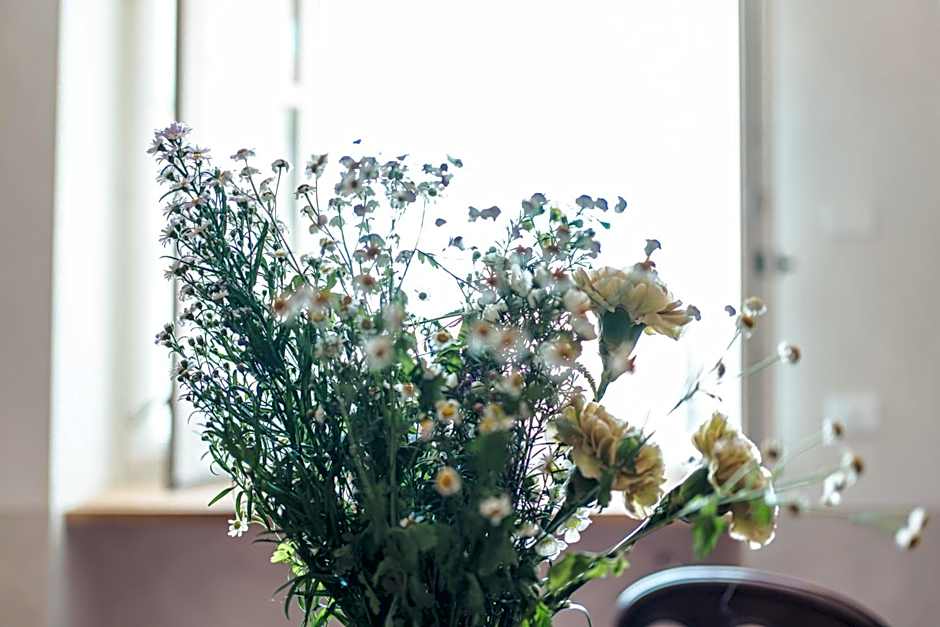 Borgo dei Gatti Albergo Diffuso & spa