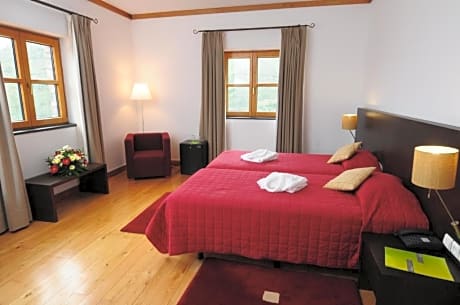 double or twin superior mountain view