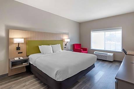 1 King Bed, Nonsmoking
