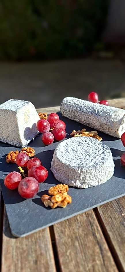 Traînefeuilles - Chambres d'hôtes proche Zoo de Beauval