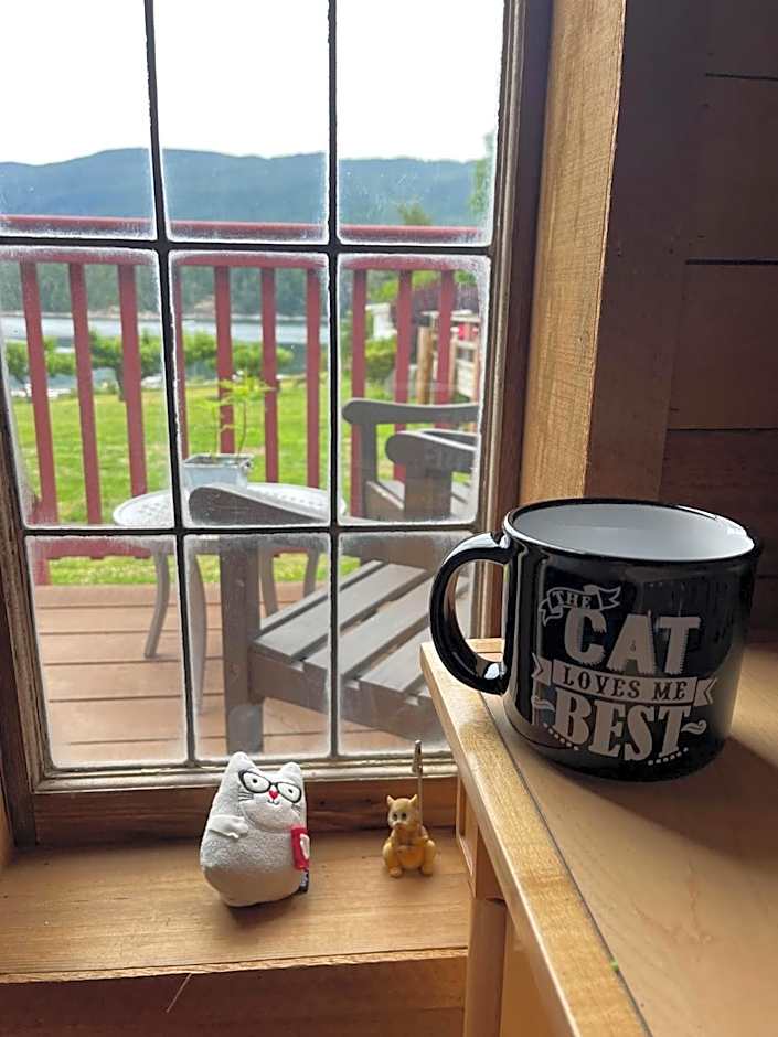 Shannaghs Sweet Escape