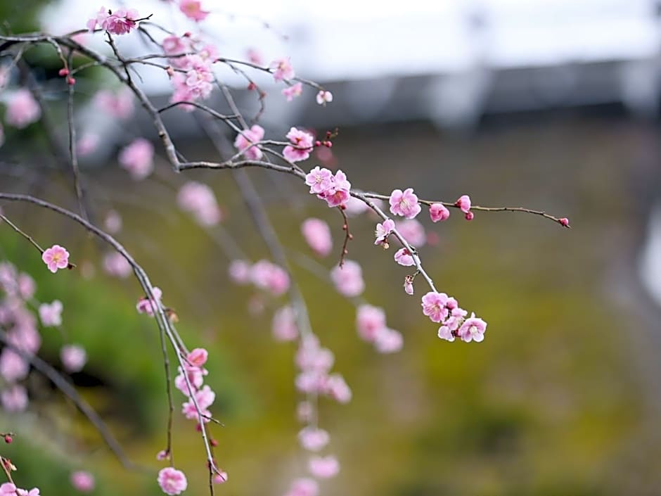 料理旅館 山里料理 いそべ -Ryokan Isobe-