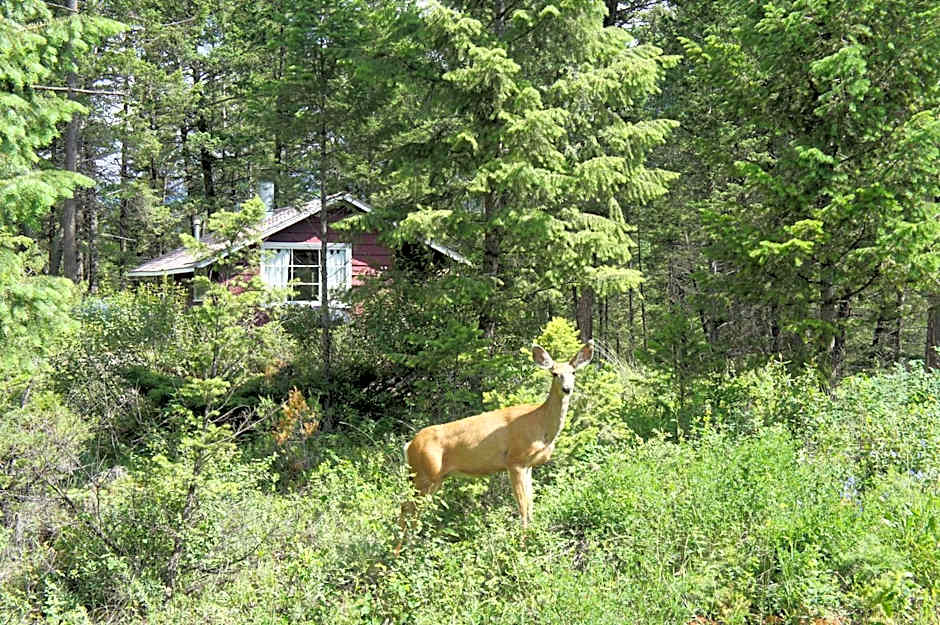 Fairmont Mountain Bungalows