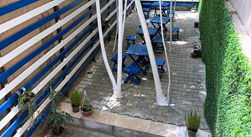 Hostelida