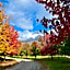 Queenstown Country Lodge