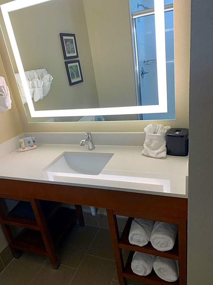 Comfort Suites West Monroe near Ike Hamilton Expo Center