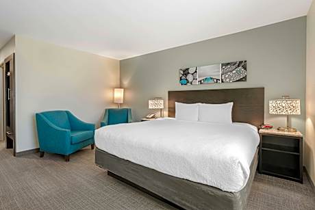 Accessible - 1 King  Mobility Accessible Communication Assistance Roll In Shower Flat Screen Televis