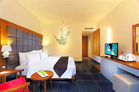 Superior Deluxe Double or Twin Room