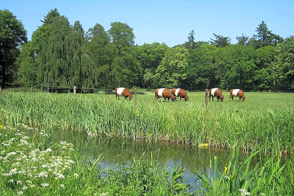 Landgoedhotel Woodbrooke Barchem