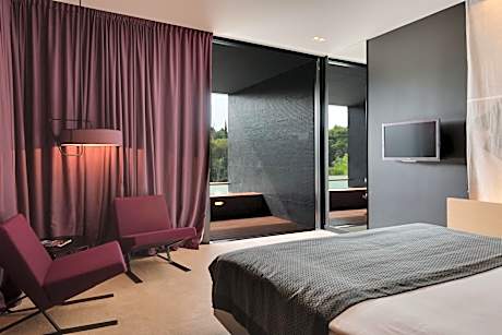 Deluxe Plunge Pool Room