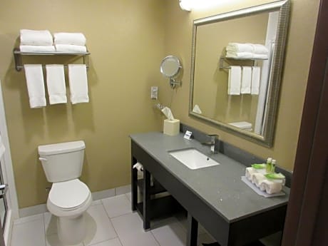 1 King Bed Standard Comm Accessible