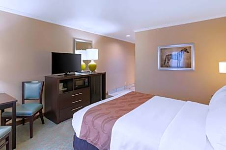 Standard Queen Room - Non-Smoking