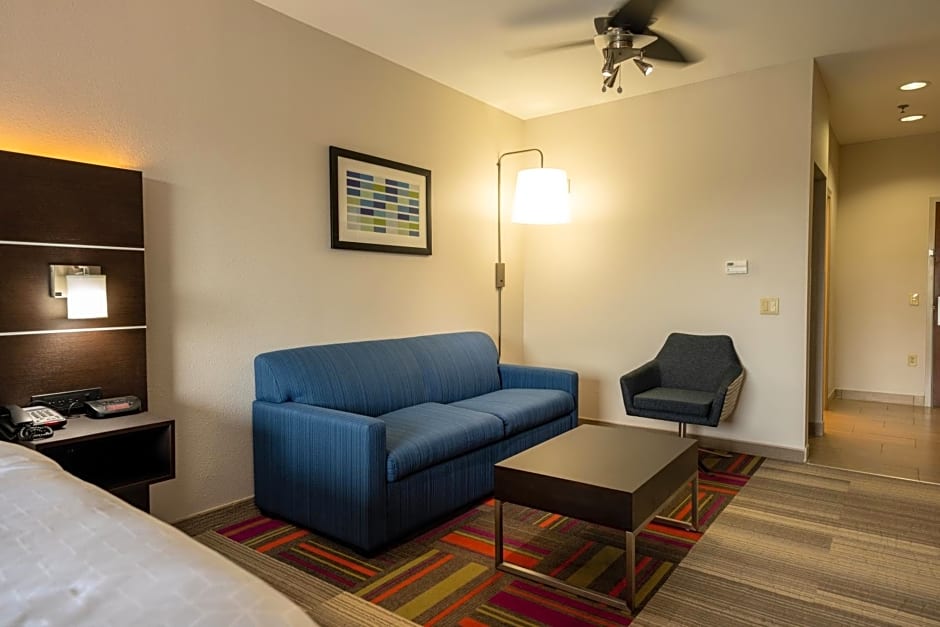 Holiday Inn Express Hotel & Suites Deer Park