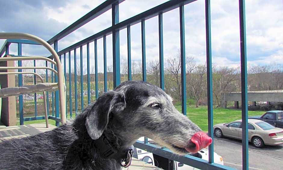 Arbors at Island Landing Hotel & Suites