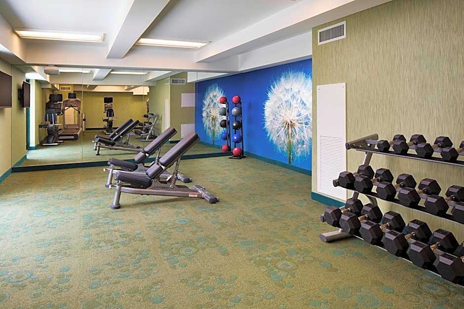 SpringHill Suites by Marriott Houston Downtown/Convention Center