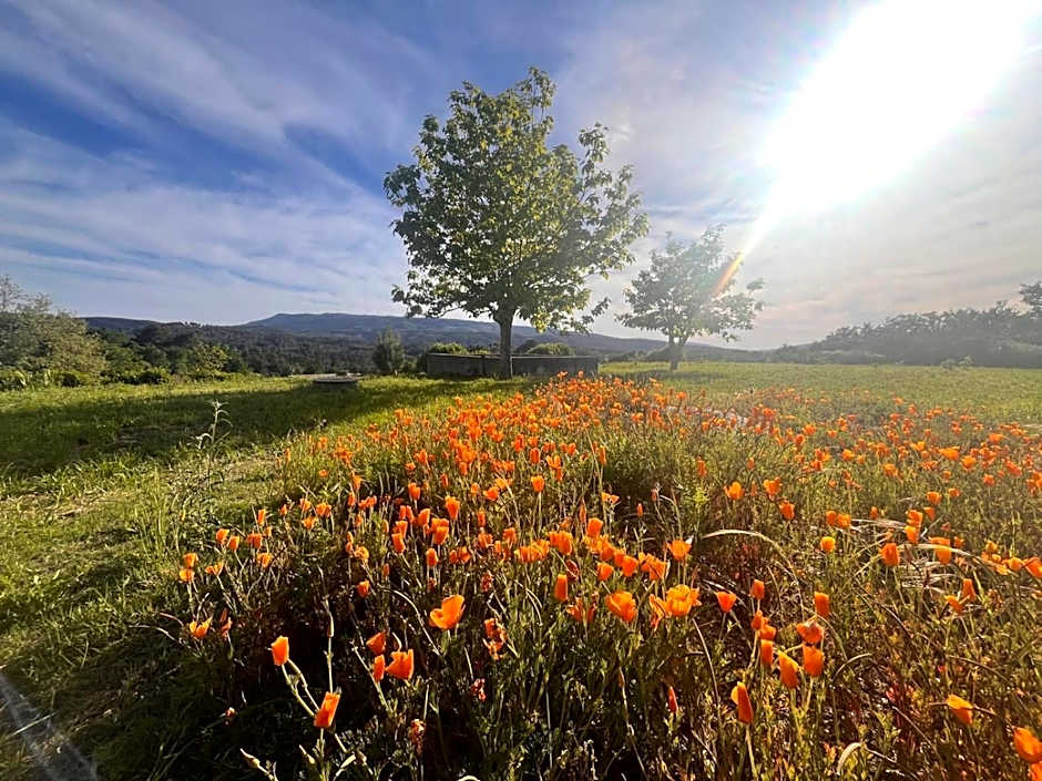 Pensão Repouso do Peregrino