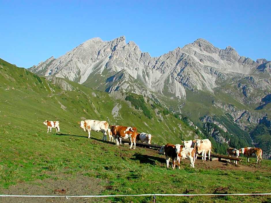Das kleine Berghotel