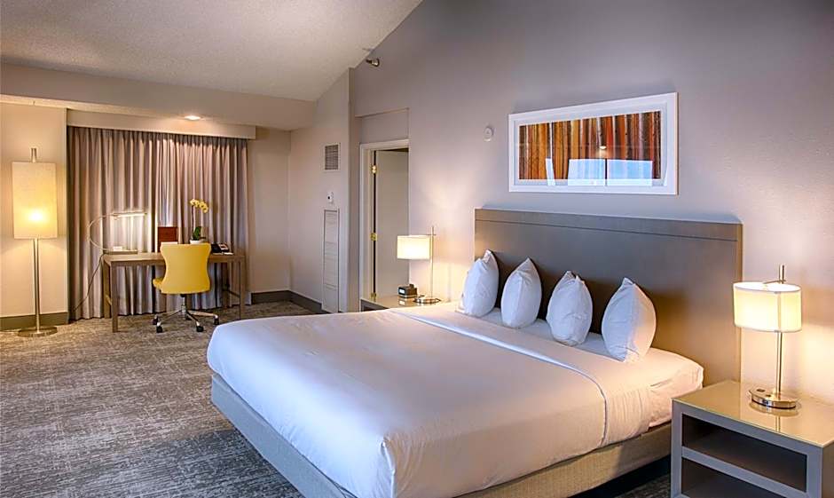 DoubleTree By Hilton Hotel Denver North