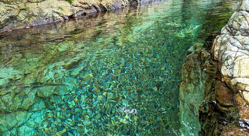 Tanigawa Valley Lodge & Coffee Roastery