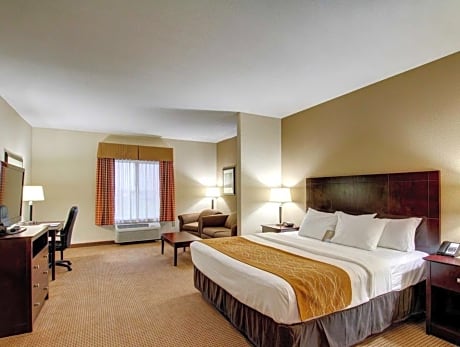 King Room - Non-Smoking