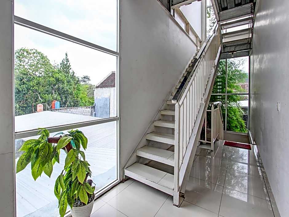 Collection O 90253 DHelomi