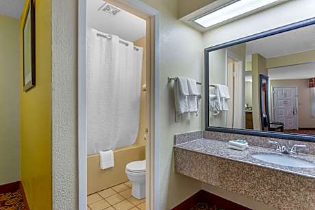 Suite-1 King Bed Non-Smoking Sofabed Jacuzzi Microwave And Refrigerator Wi-Fi Full Breakfast