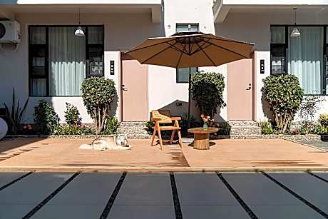 Wuyi Whispering Maple