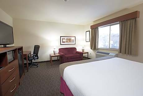 One-Bedroom King Suite - Non-Smoking