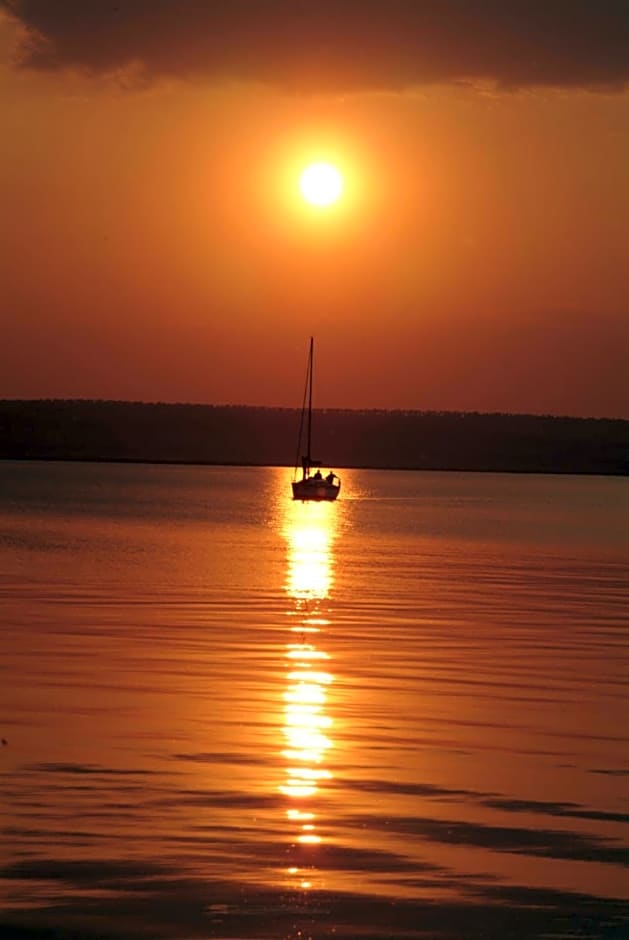 Weingut & Gästezimmer Nekowitsch