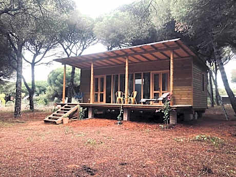 Bungalow with Garden View