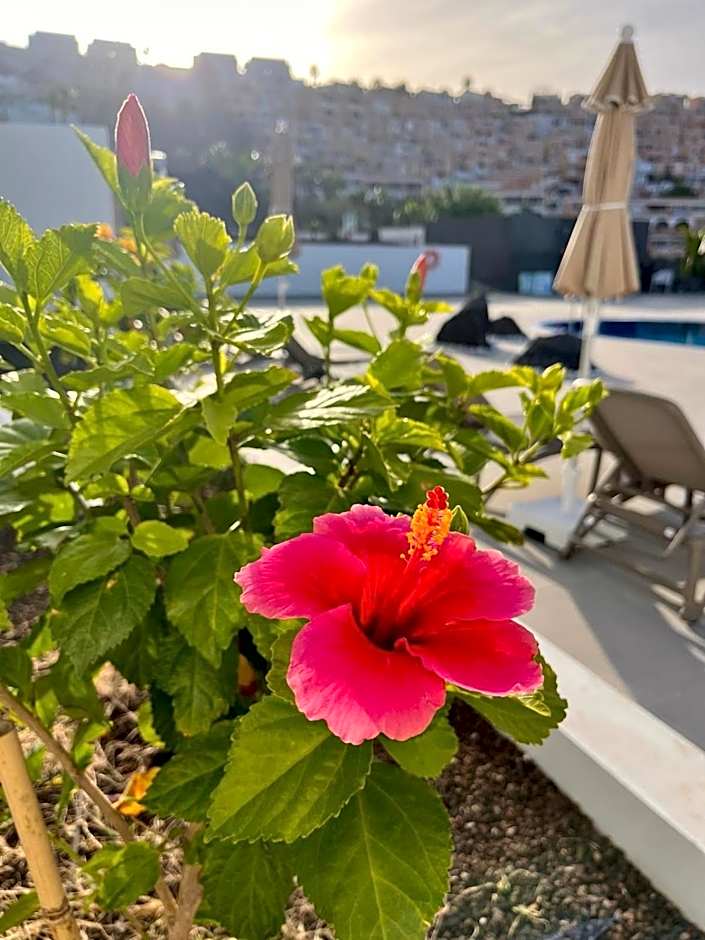 Costa Adeje Garden Aparthotel