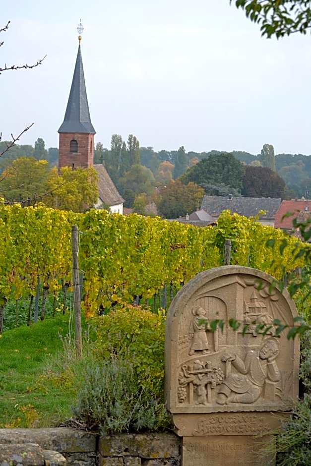 Hotel Am Hirschhorn - Wellness - Spa - and more