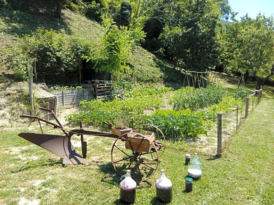 Bed & Breakfast SENTIERO 54